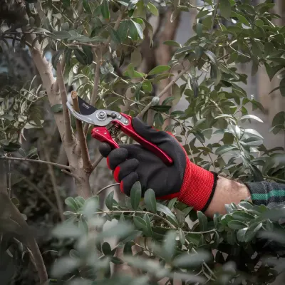 Pruning Shear-X Tra model
