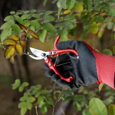 Pruning Shear-Plant Model