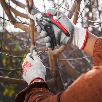 Pruning Shear-Slidey Model