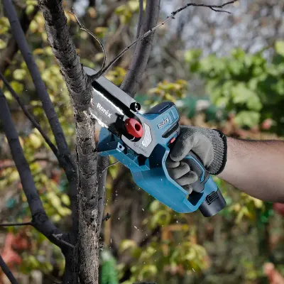 12V Cordless Chain Saw Kit